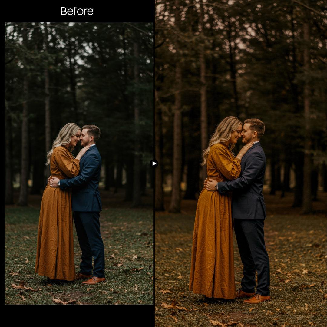 Moody Autumn Wedding 24 LUTs digital asset preview