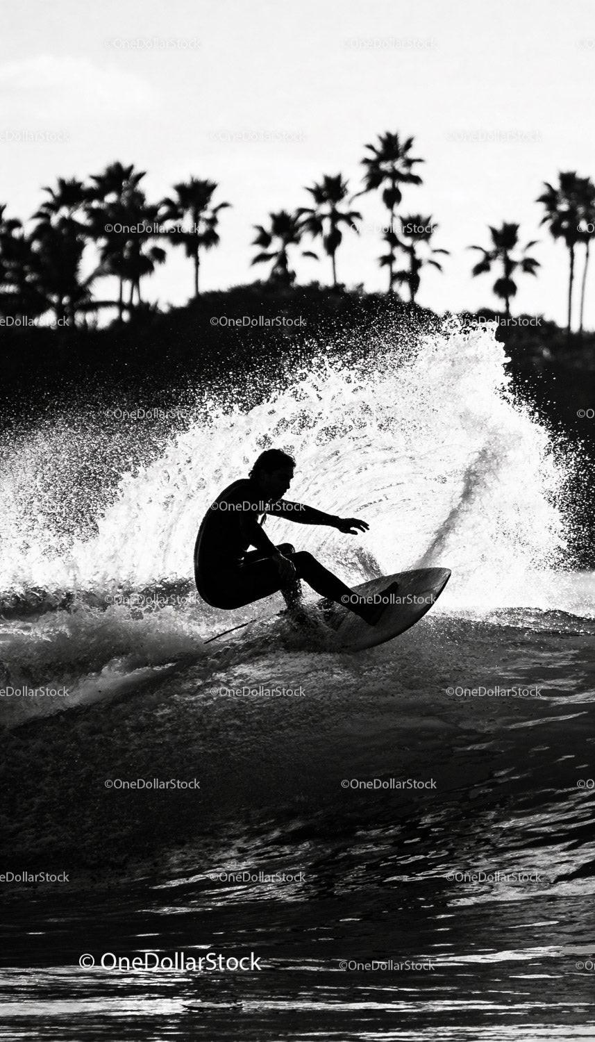 Surfer carving a wave with palm trees silhouette