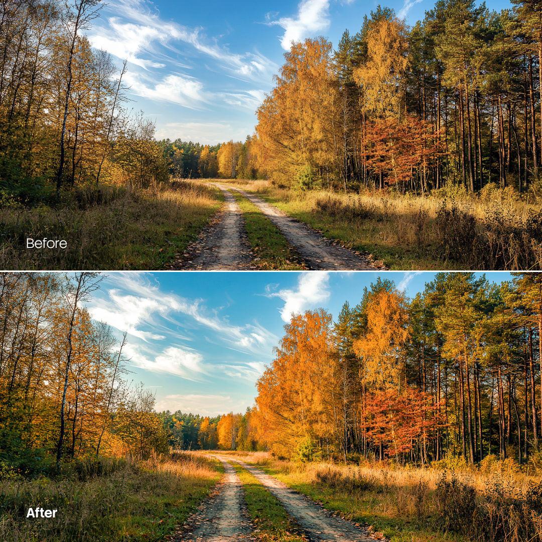 Before and after Cozy Autumn Leaves Palette Lightroom preset edit