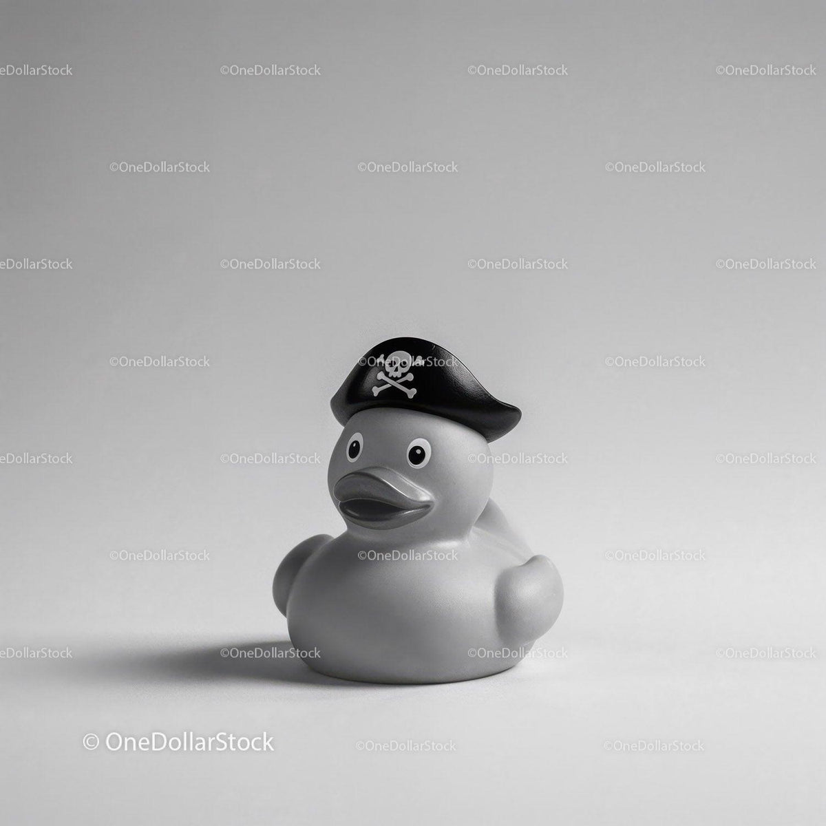 Gray rubber duck wearing black pirate hat with skull and crossbones symbol on gray background
