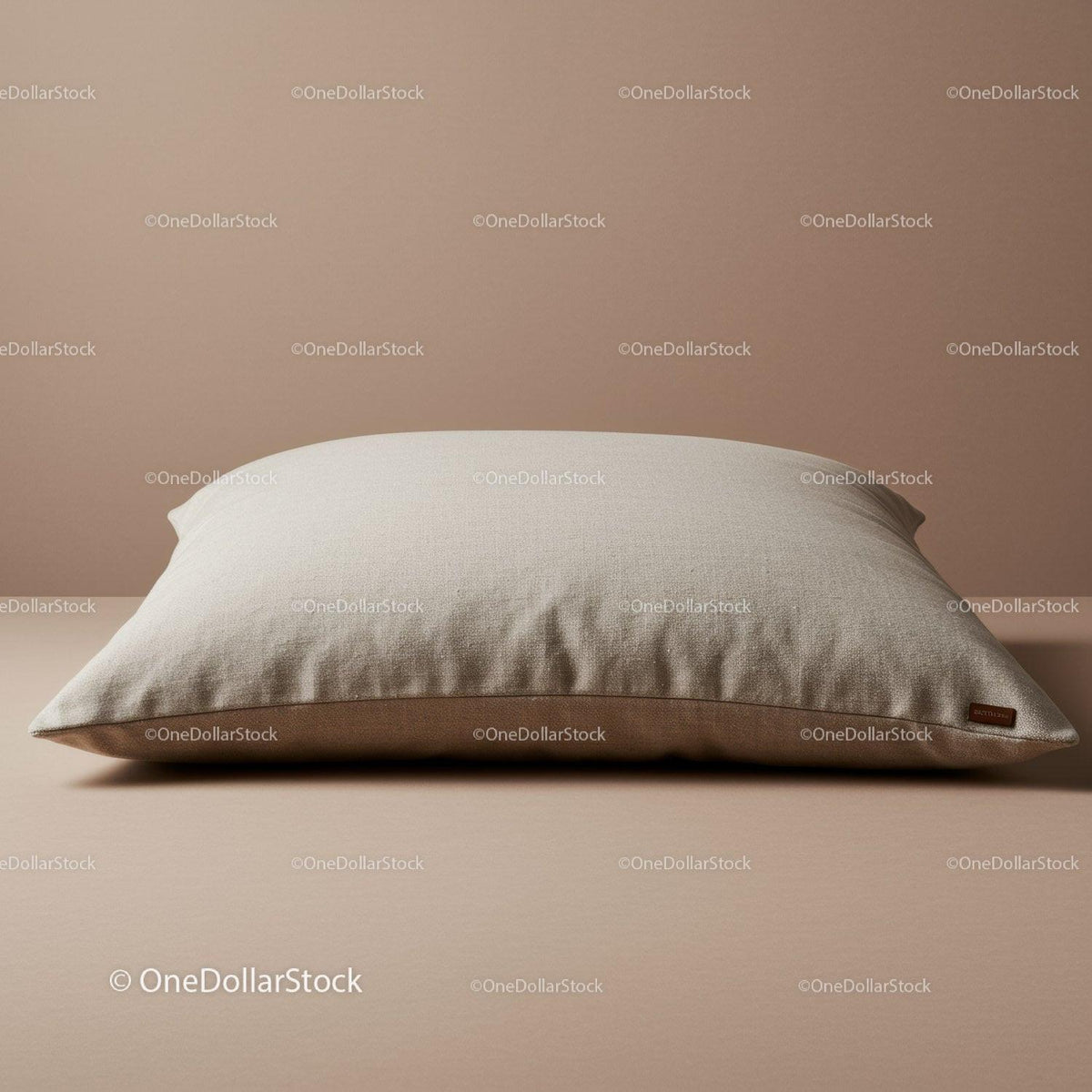 Beige Cushion in Modern Bedroom Interior with Soft Fabric Texture