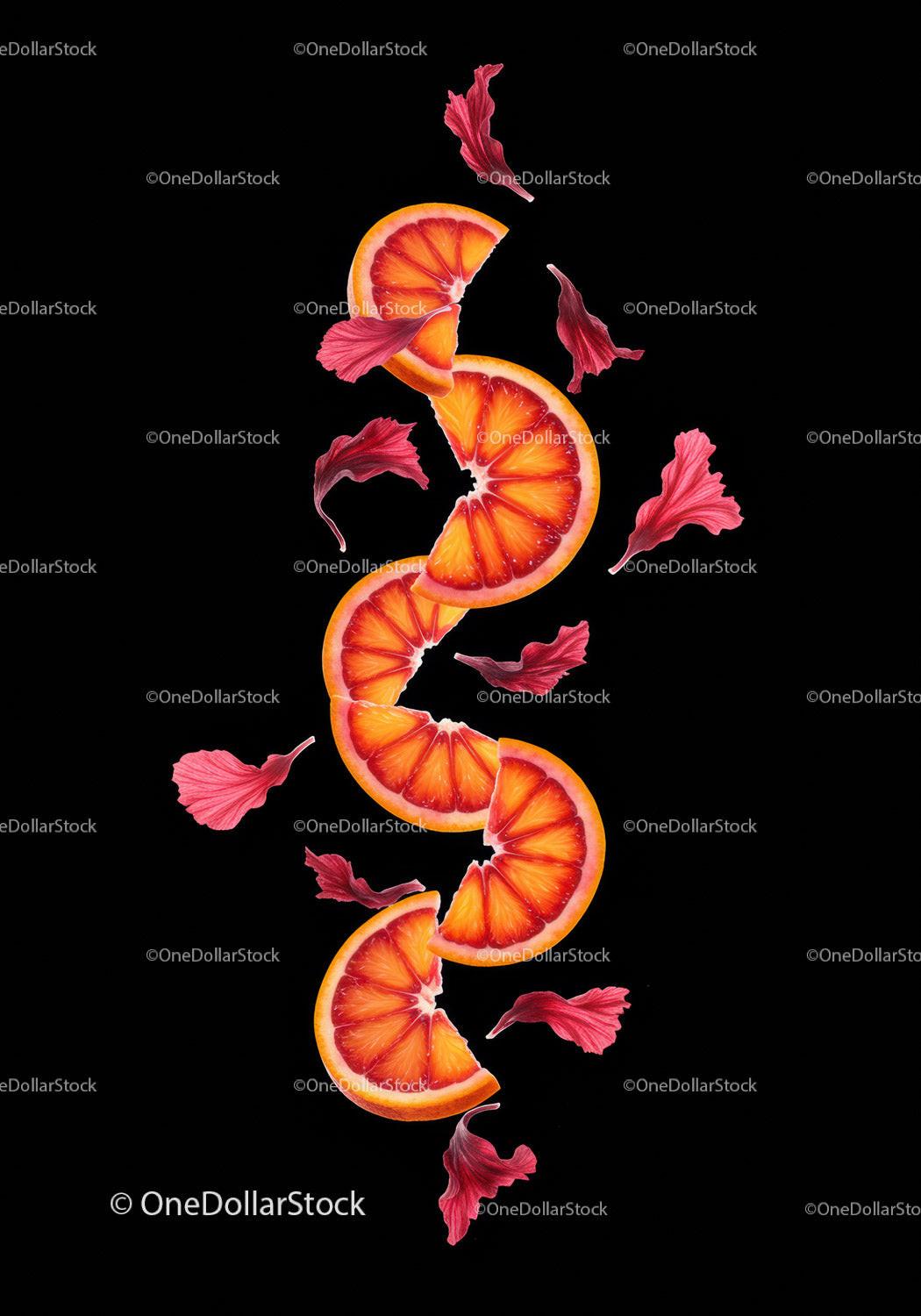 Slices of Blood Orange with Floating Red Petals on Black