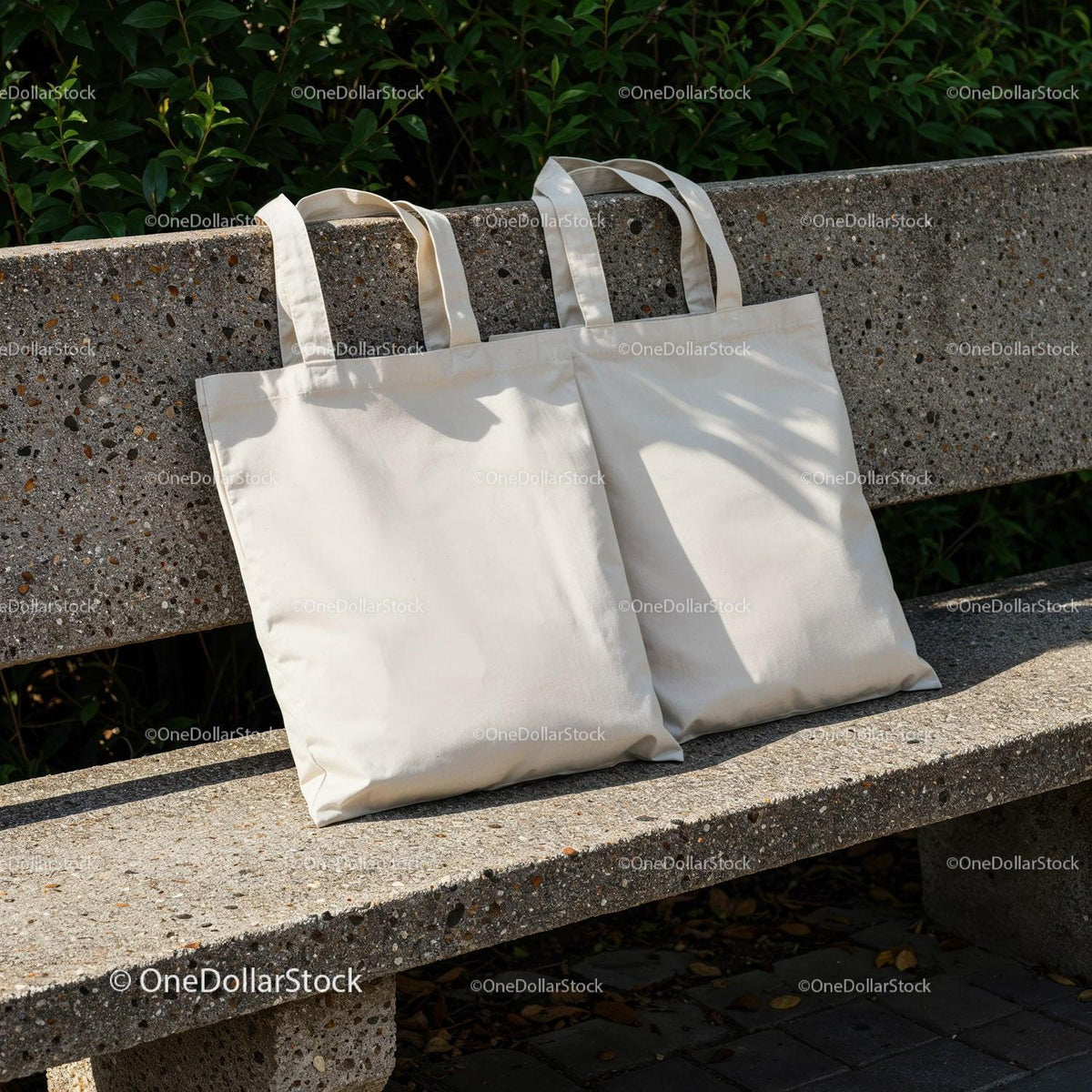 Two Blank Canvas Tote Bags on Outdoor Concrete Bench JPG Mockup Image preview