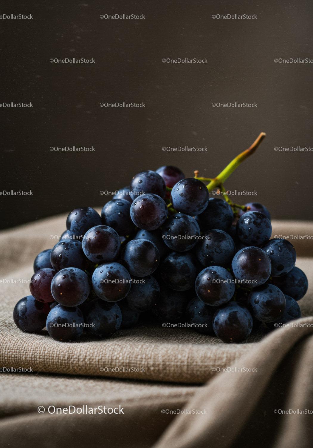 Fresh dark grapes with morning dew on rustic fabric