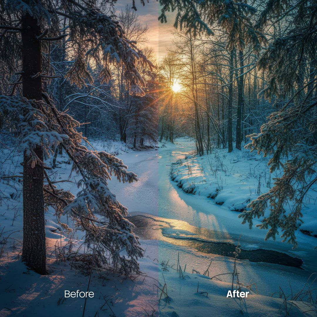 color grading preview with Sunlit Pine Woods LUT Pack