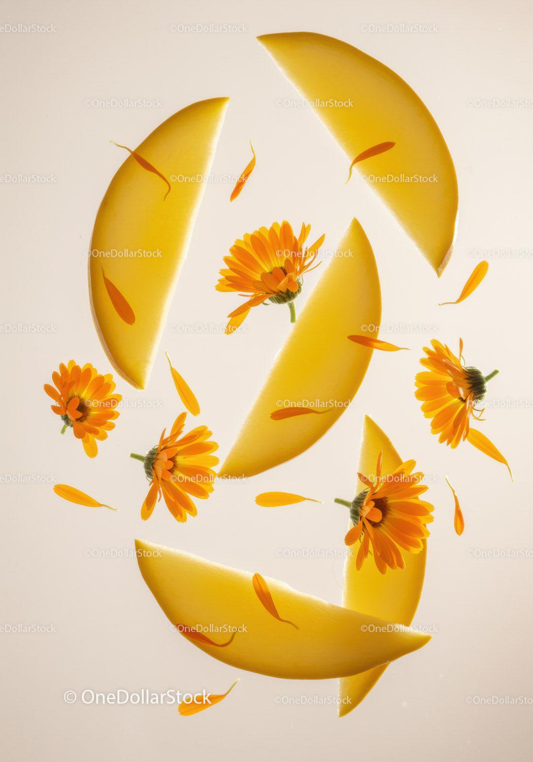 Bright calendula flowers with sliced melon wedges