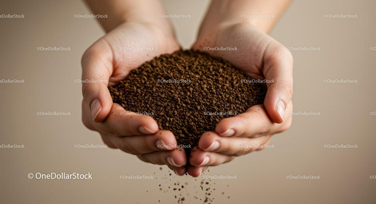 Close-up of Hands Holding Coffee Granules Falling