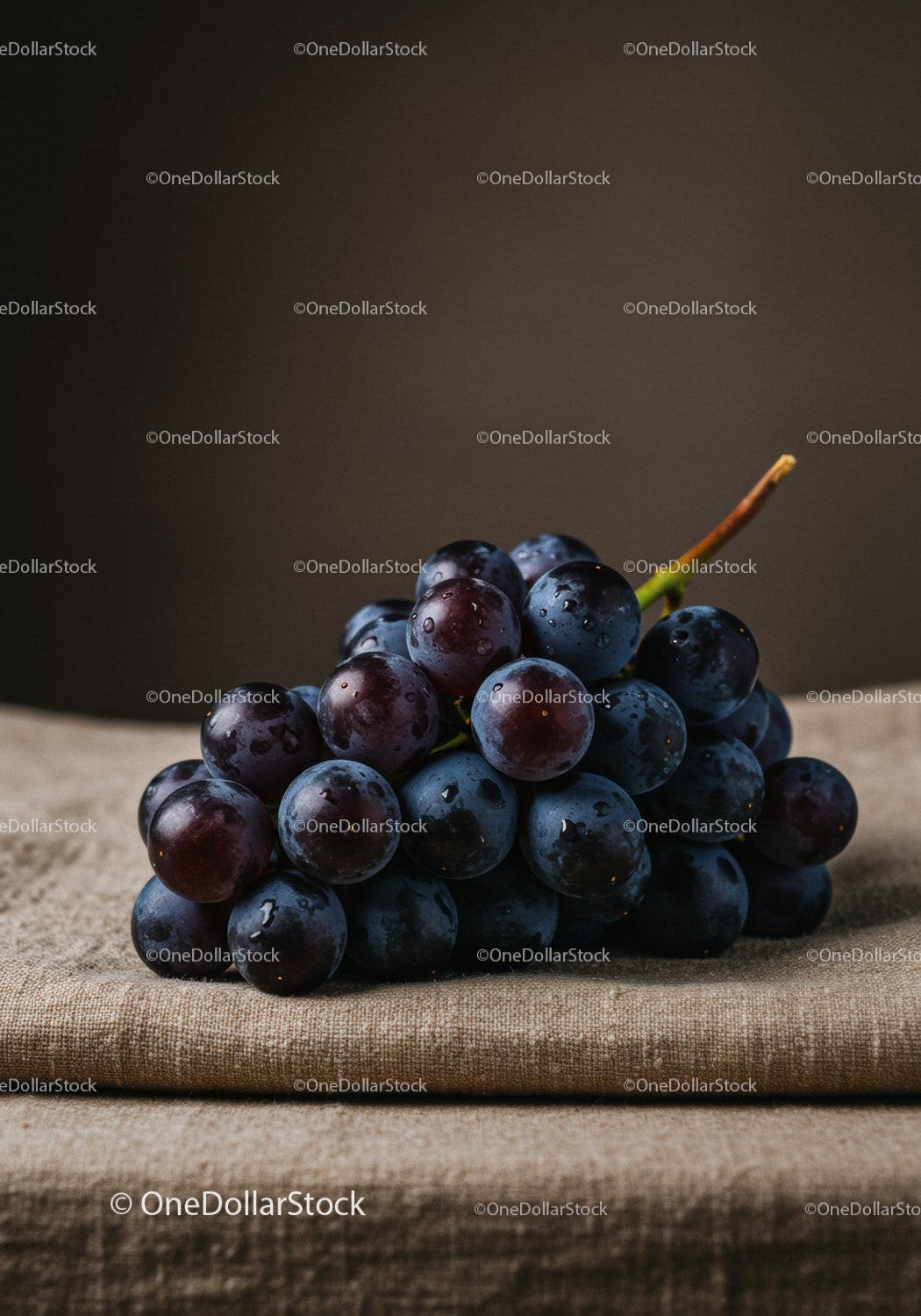 Fresh dark grapes cluster on rustic fabric background