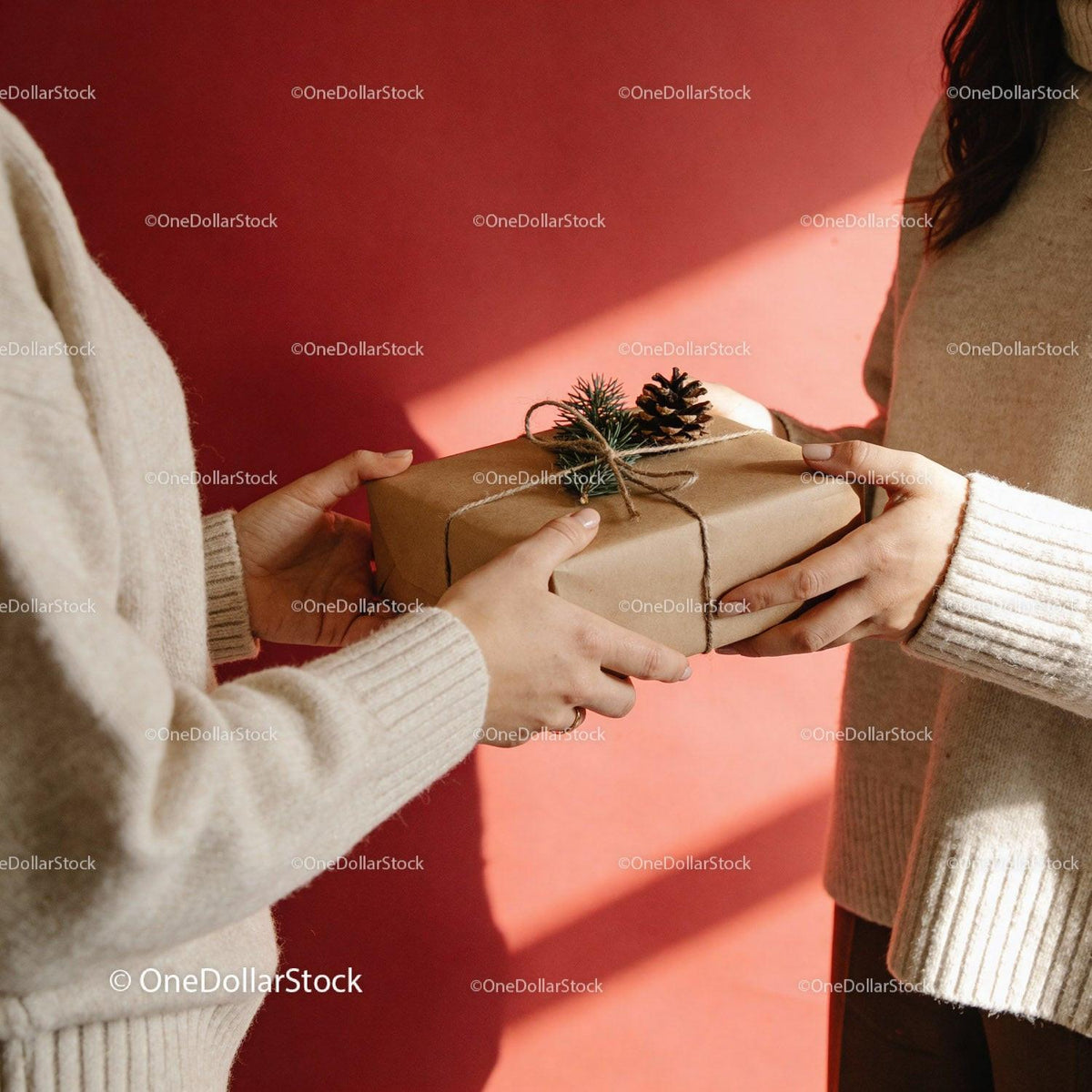 Warm Christmas Gift Exchange in Cozy Sweaters