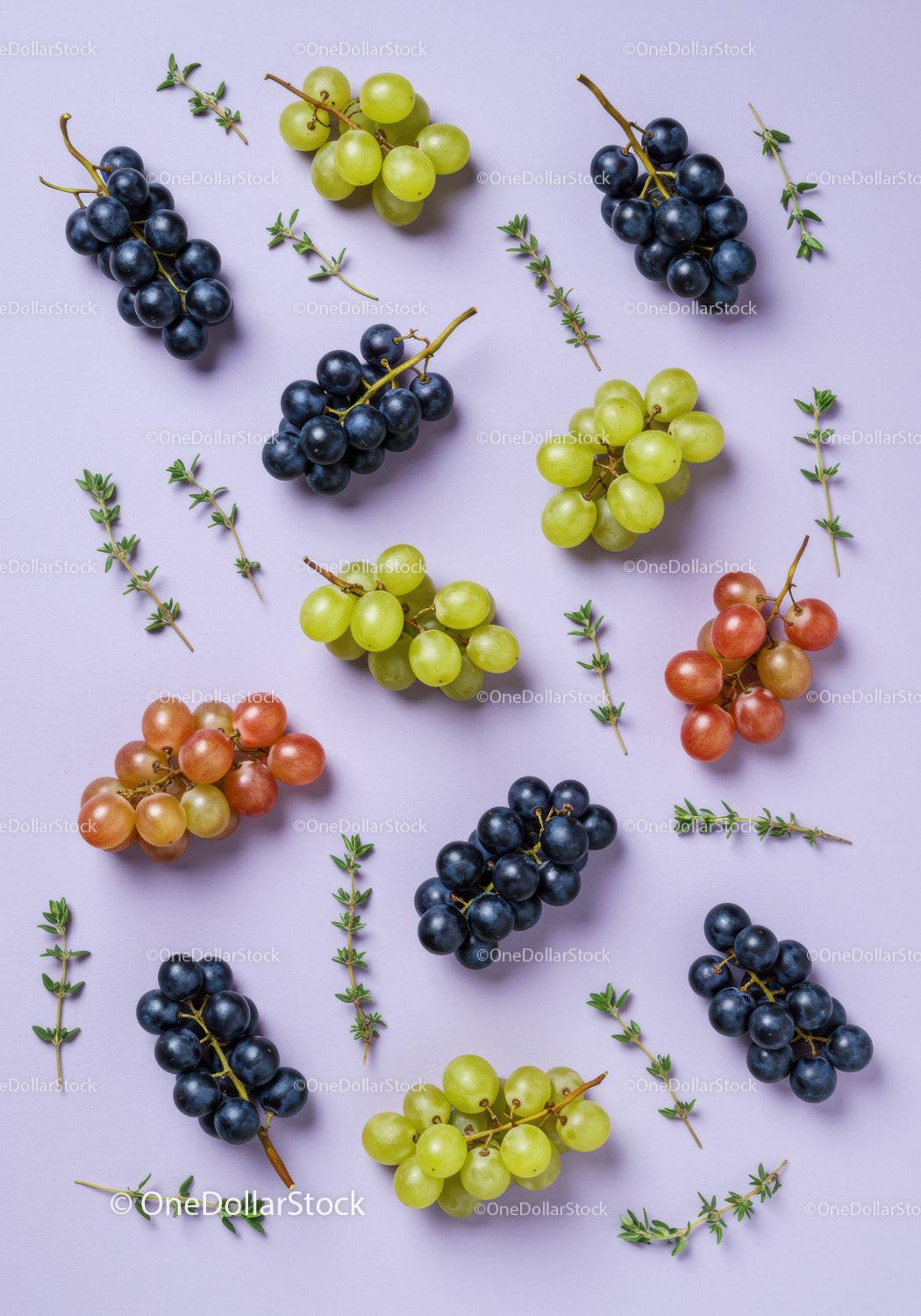 Fresh assorted grapes and thyme sprigs on pastel background