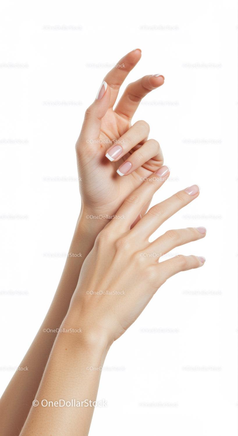 Delicate hands with elegant French manicure on white