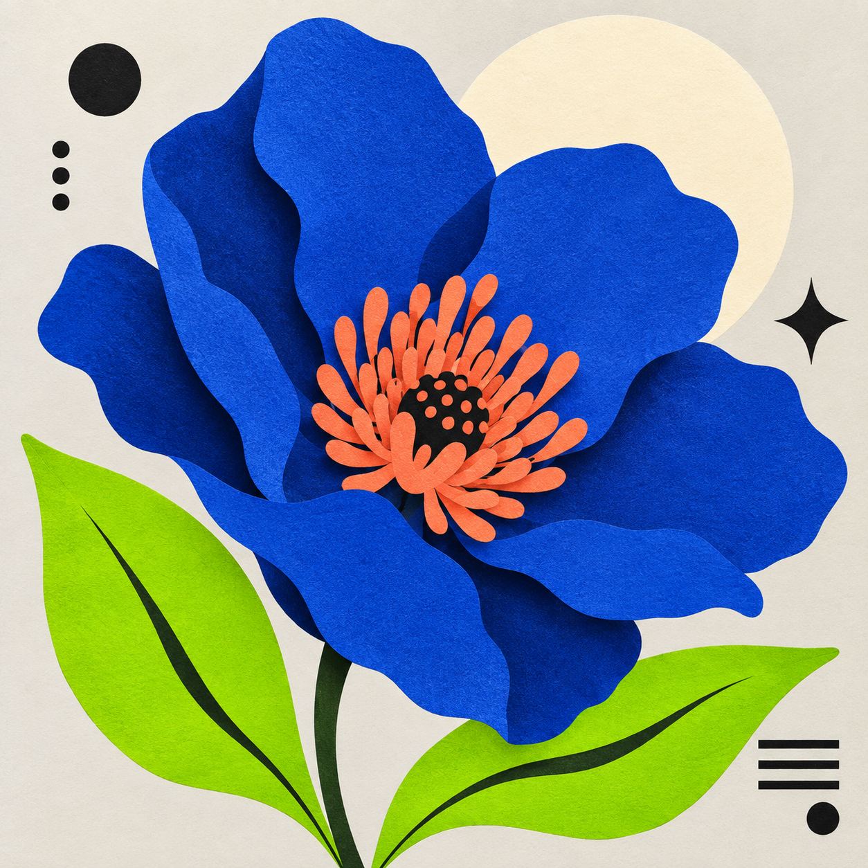 Grafiken und Illustrationen
