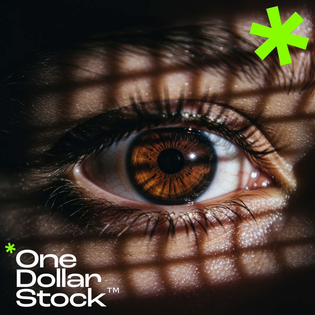 Dlaczego One Dollar Stock™ jest lepszym wyborem niż strony z darmowymi akcjami?