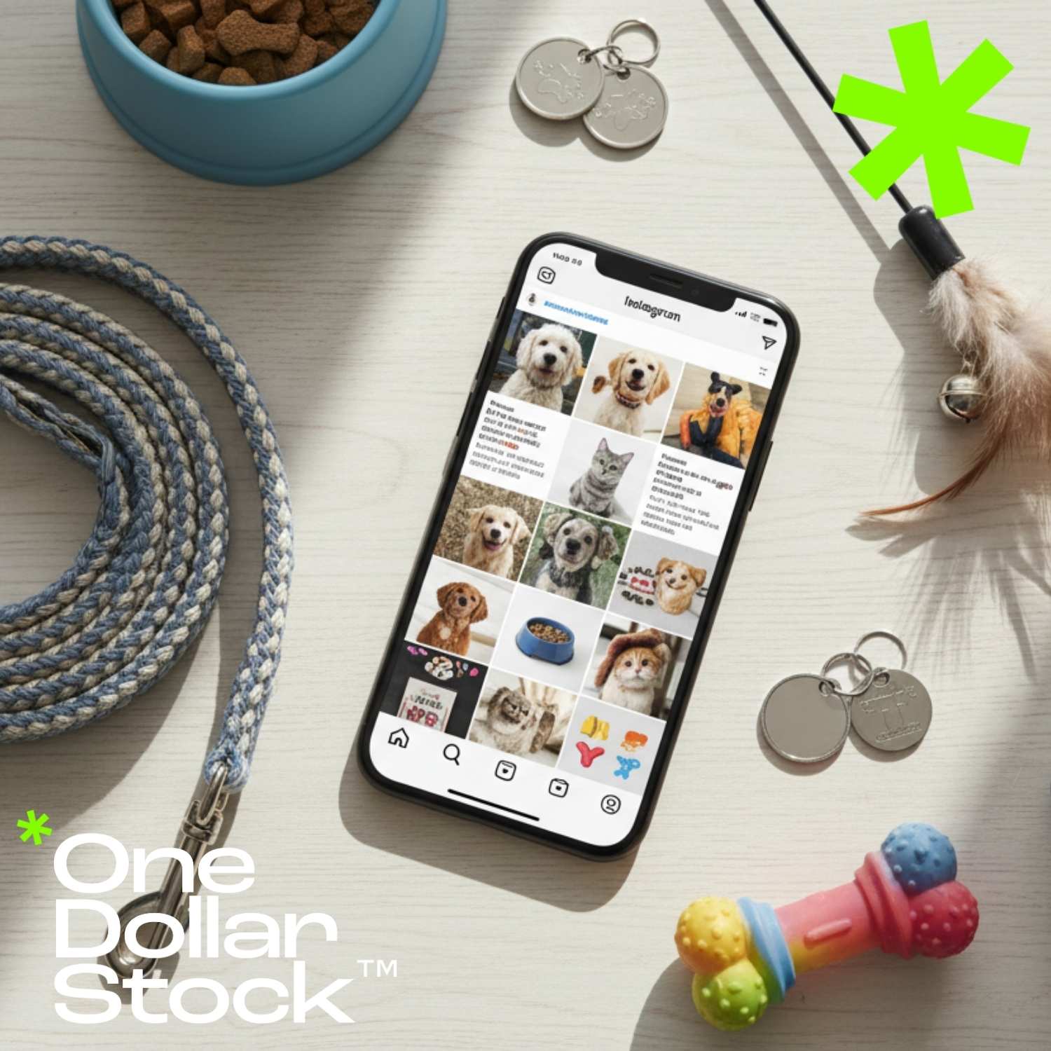 7 Pet Store Content Ideas Using Stock Images for Social Media and Ads
