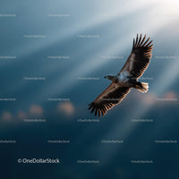 Majestic Bird in Flight Over Cloudy Sky