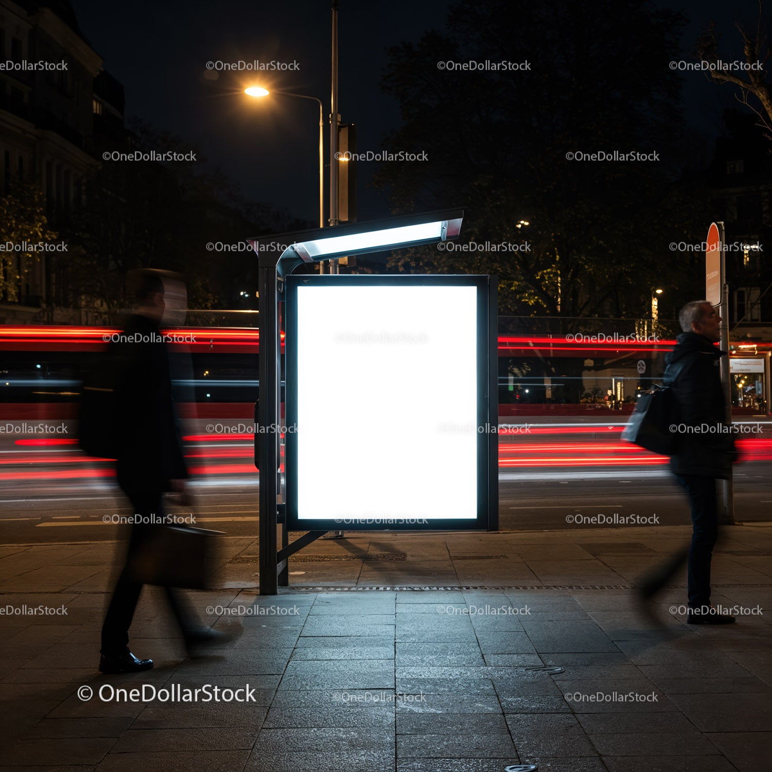 Illuminated Blank Bus Stop Advertising Display at Night