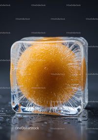 Orange Fruit Frozen Inside a Clear Ice Cube