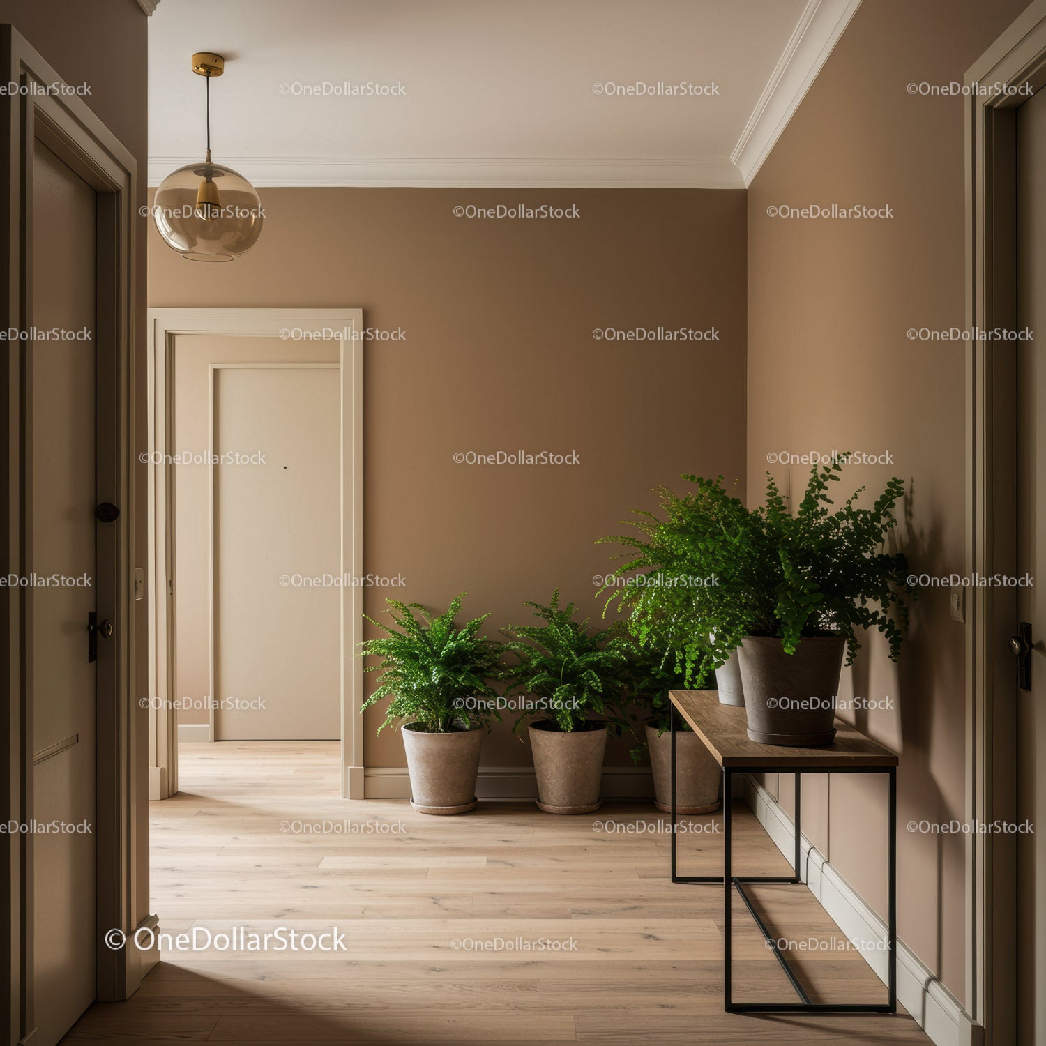 Cozy Modern Hallway with Potted Ferns and Wood Flooring