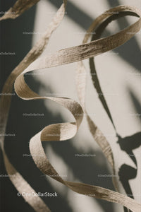 Close-up of Beige Fabric Ribbon with Curled Design and Texture