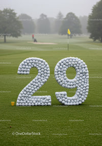 Number 29 made of golf balls on green golf course