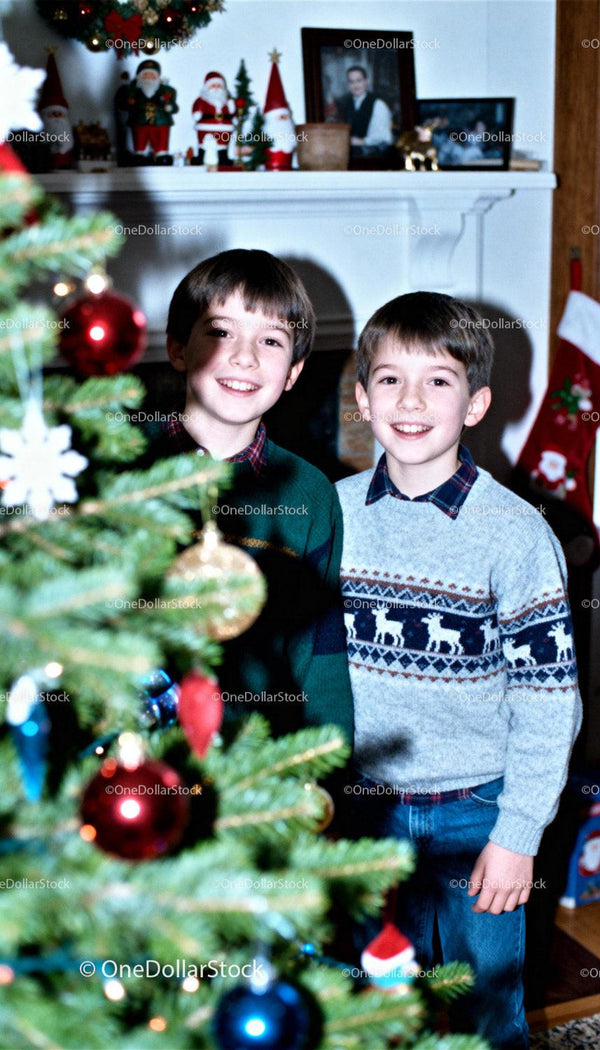 Two smiling boys celebrate holiday near decorated Christmas tree