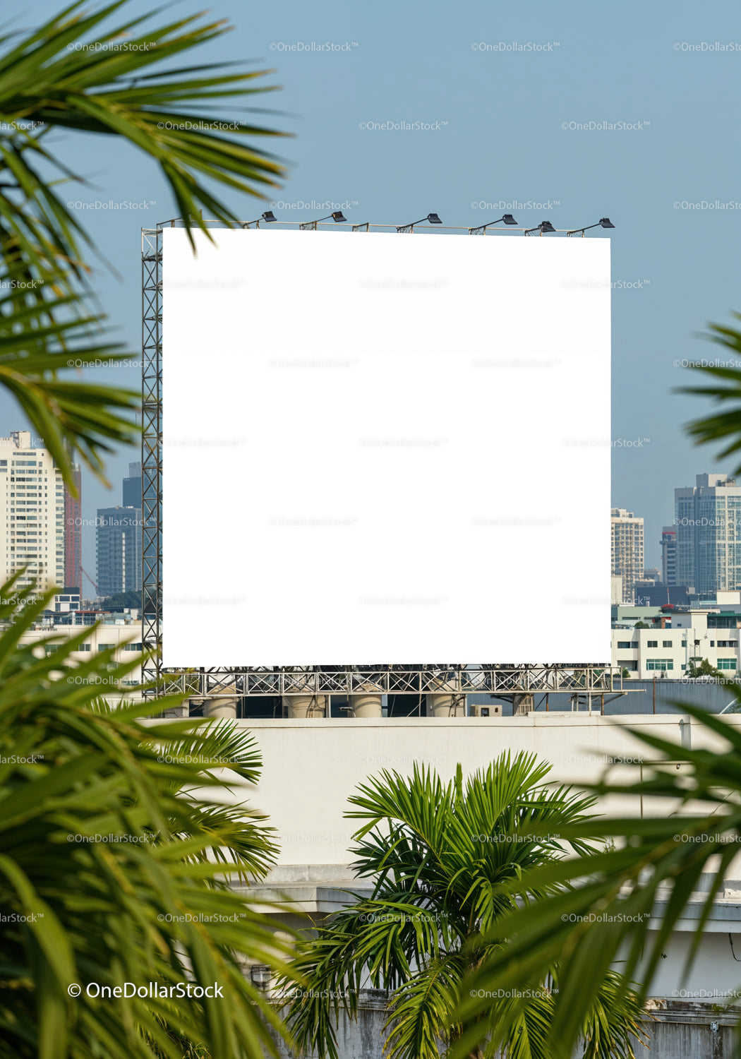 Empty Urban Billboard Framed by Tropical Palm Leaves