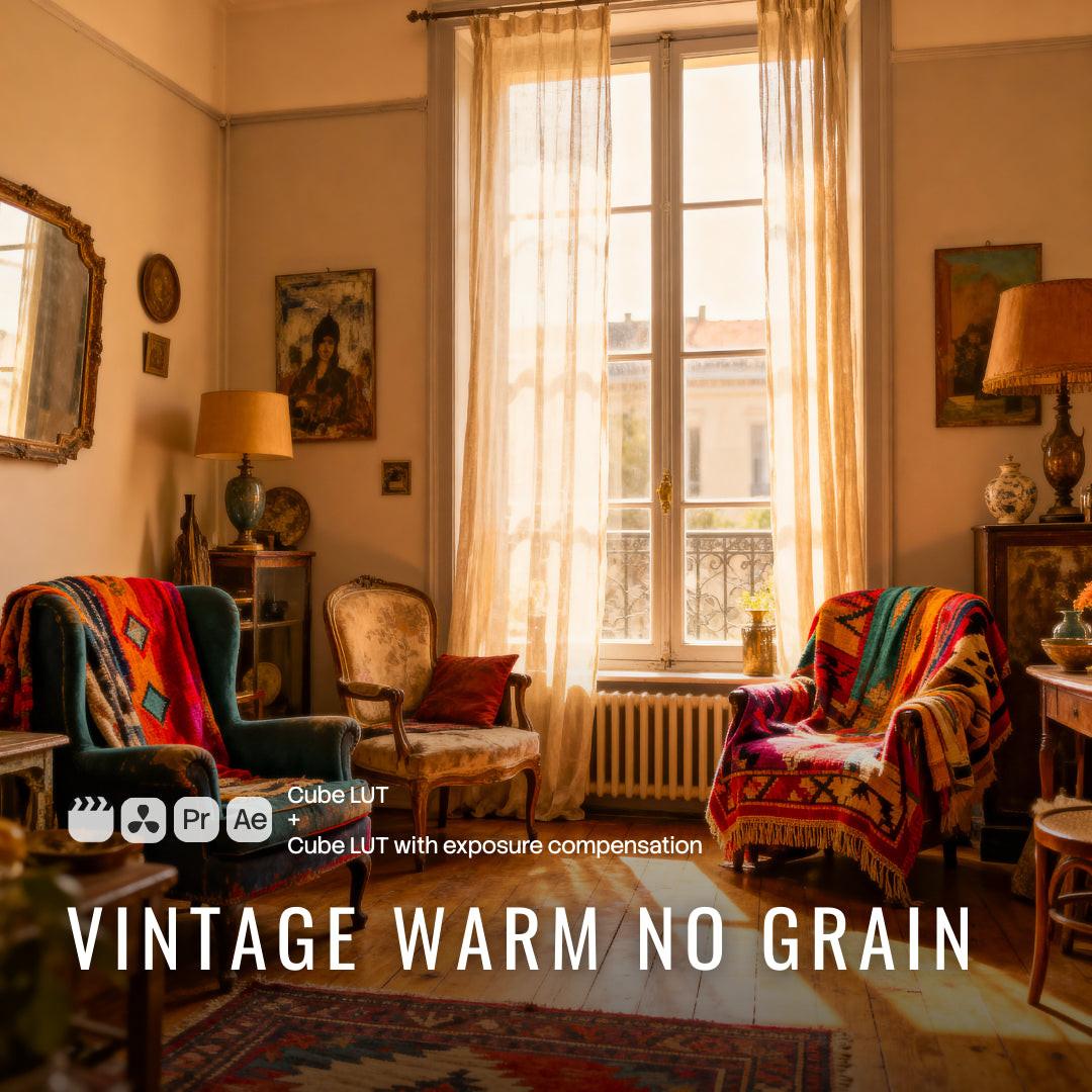 Vintage Warm No Grain (2 LUTs)