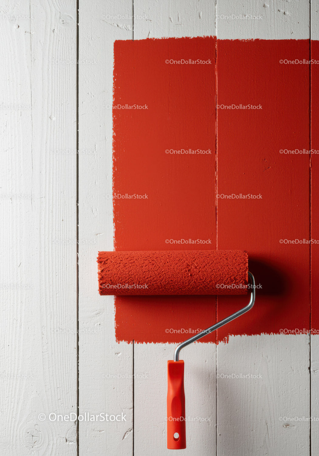 Red Wall Painting with Paint Roller in Modern Interior