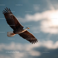 Majestic Bald Eagle Flying in Sky with Cloud Background