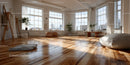 Bright Sunlit Room with Large Windows and Wooden Floor