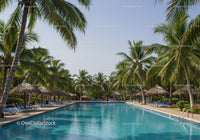 Tropical Resort with Swimming Pool and Palm Trees Under Clear Sky