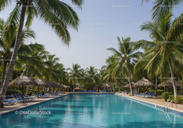 Tropical Resort with Swimming Pool and Palm Trees Under Clear Sky