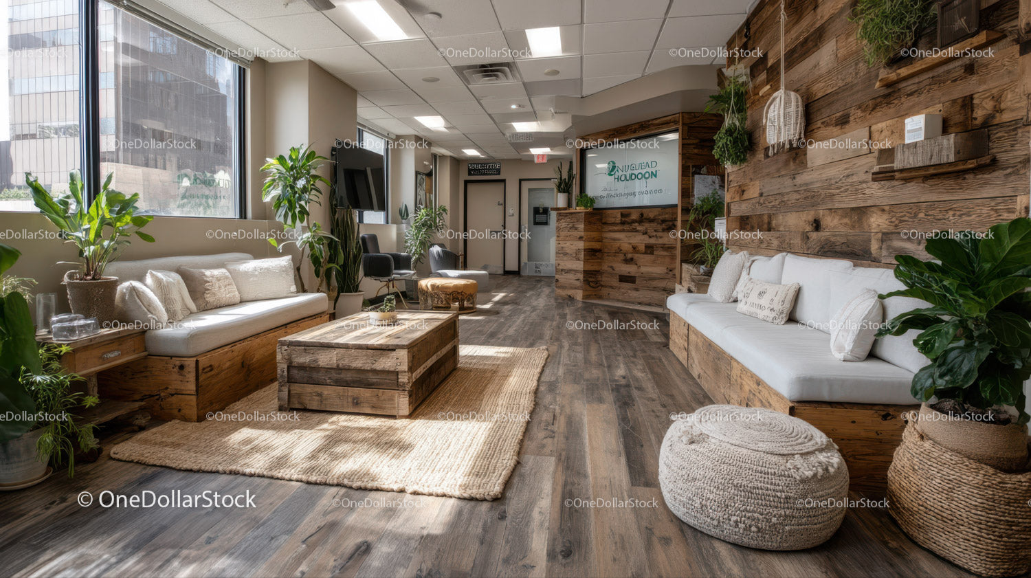 Nowoczesny salon biurowy z roślinami doniczkowymi i drewnianymi akcentami