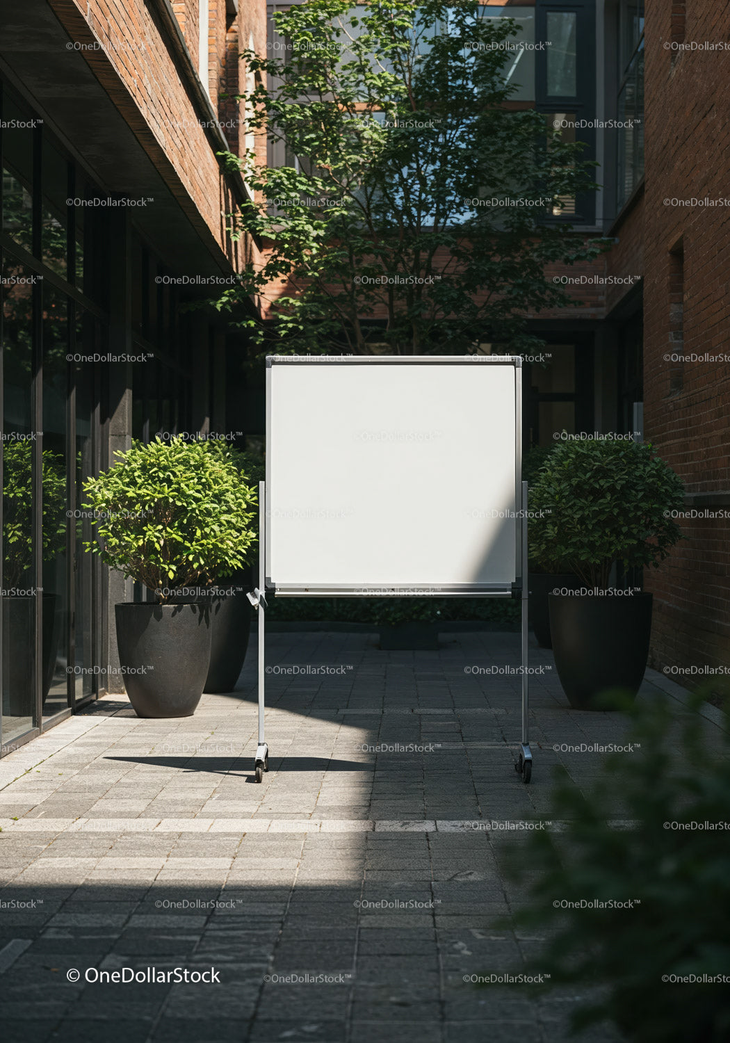 Blank Whiteboard in Modern Outdoor Courtyard Surrounded by Greenery