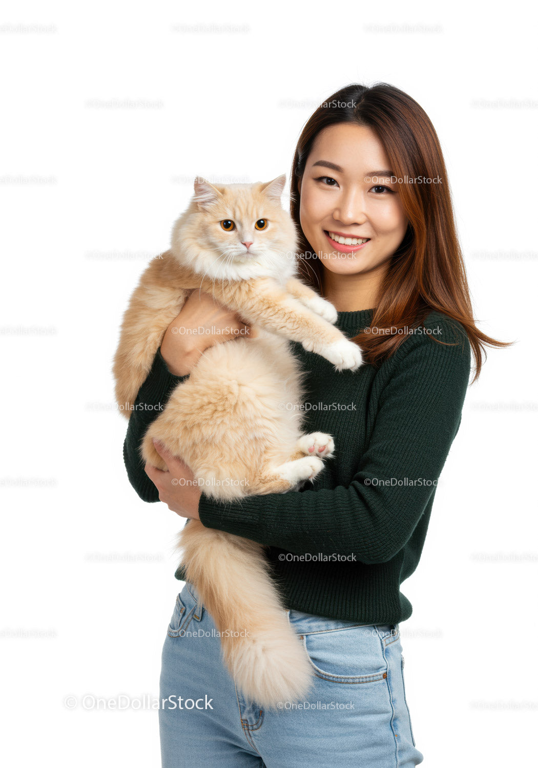 Smiling woman holding fluffy cream cat close