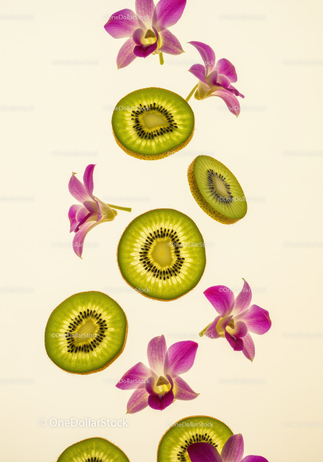 Kiwi slices with vibrant orchid flowers on light background