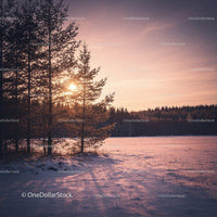 Sunset glow over snowy winter forest clearing