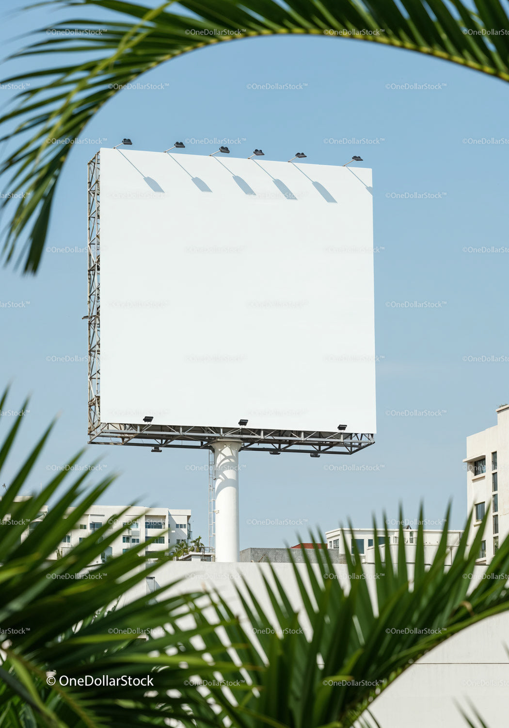 Large blank billboard framed by palm leaves in urban setting