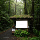 Rustic Forest Kiosk with Mossy Roof on Woodland Path