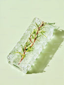 Green pine twig frozen in translucent ice block