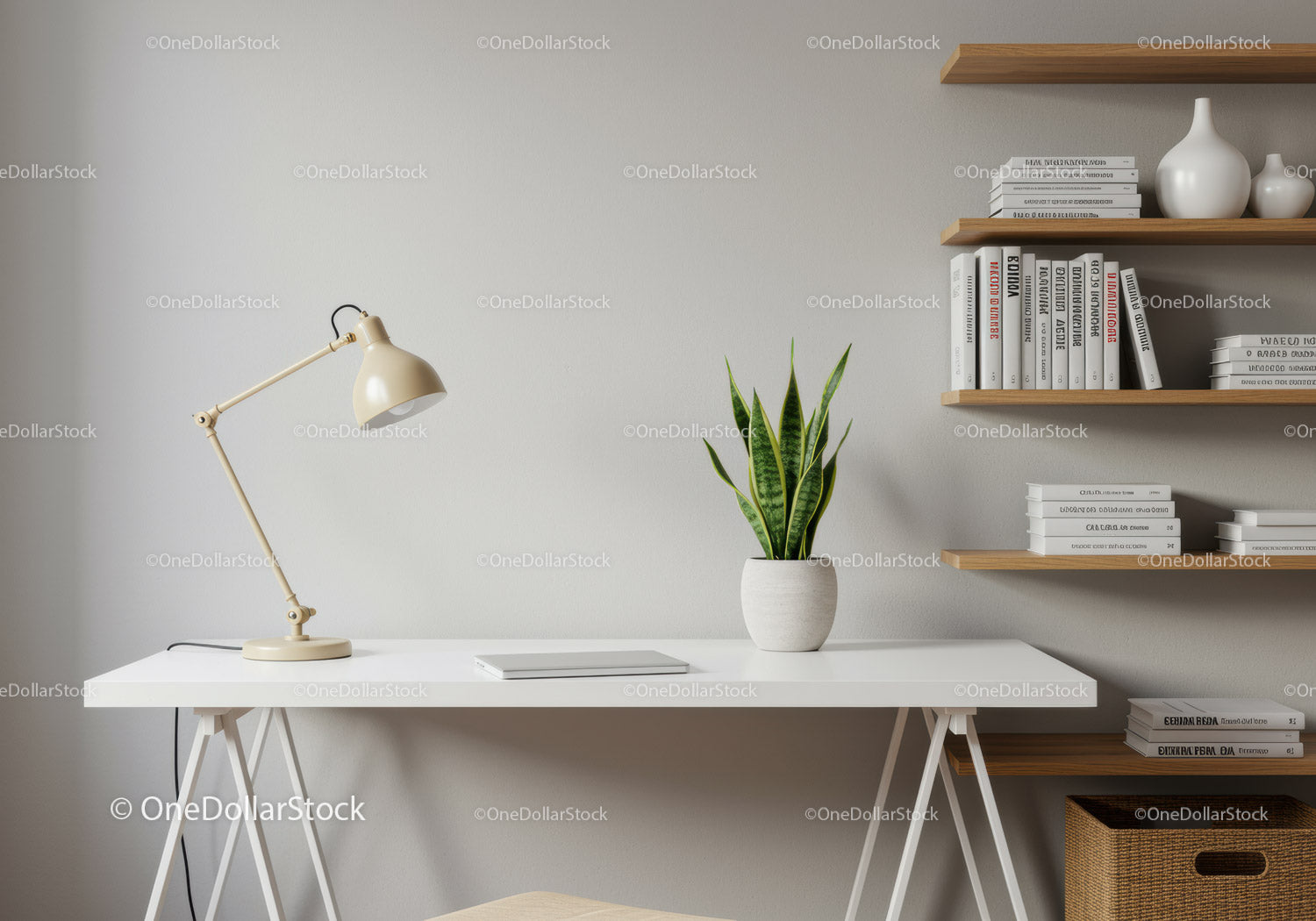 Modern Minimalist Home Office with Snake Plant and Wooden Shelves