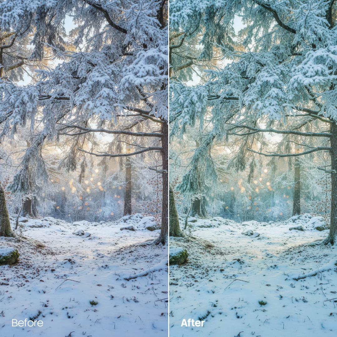 Serene Cold Atmosphere XMP presets color grading preview