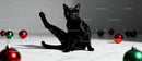 Black cat lounging among colorful holiday ornaments
