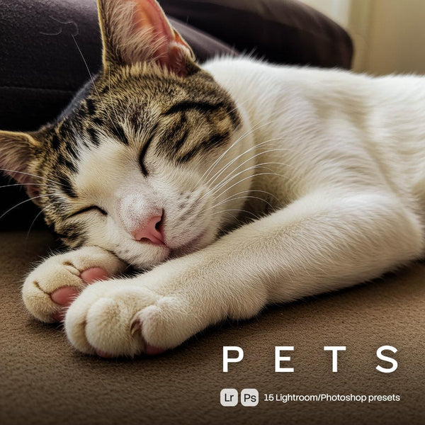 Pets Presets (15 XMP files)