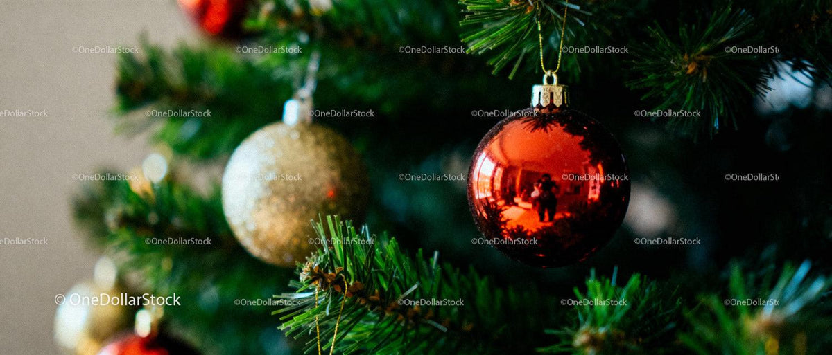 Close-up of Christmas tree with shiny baubles