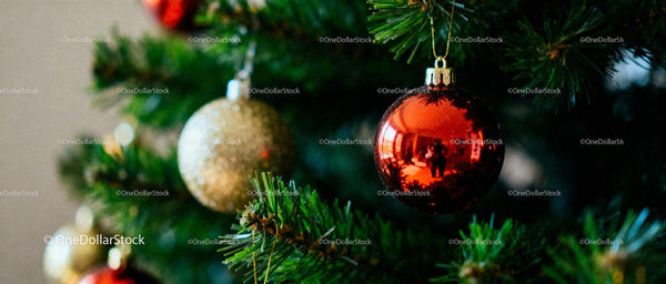 Close-up of Christmas tree with shiny baubles