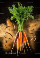 Fresh multicolor carrots with leafy green tops