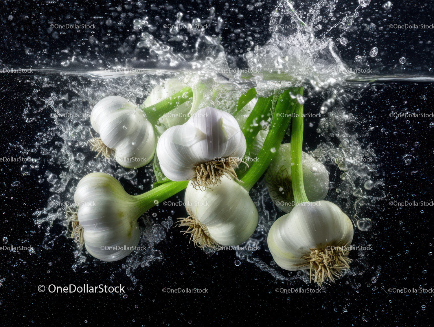 Fresh White Onion Bulbs with Green Sprouts Under Water Splash