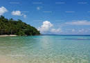 Tropical Beach with Lush Greenery and Crystal Clear Water