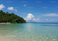 Tropical Beach with Lush Greenery and Crystal Clear Water